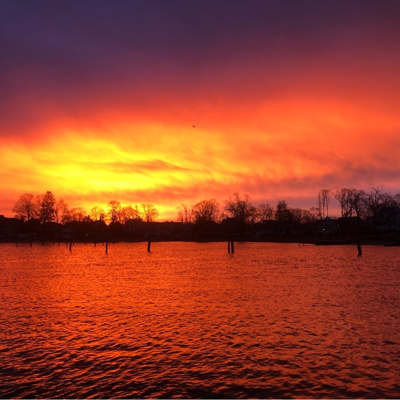 Meet your Posher, Roxanne - Picture 1 of 1